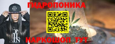 тгк Партизанск