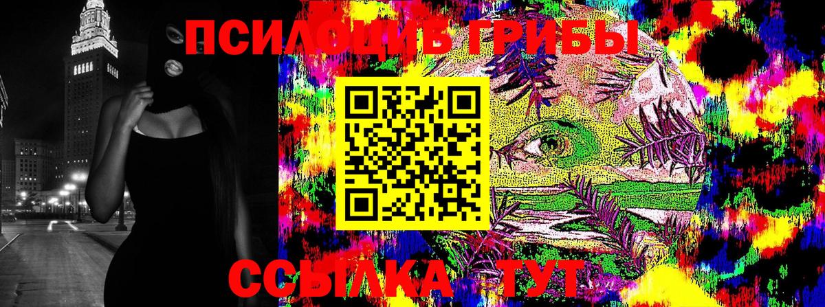 Сергиев Посад  Галлюциногенные грибы Psilocybine cubensis  Вход с VPN 
